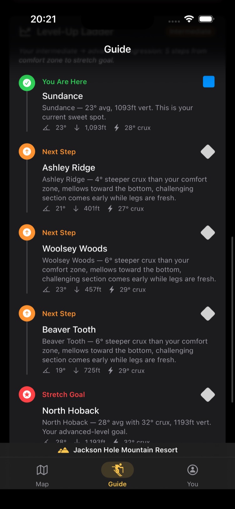 Level-Up Ladder guide